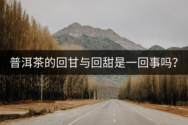 普洱茶的回甘與回甜是一回事嗎？？