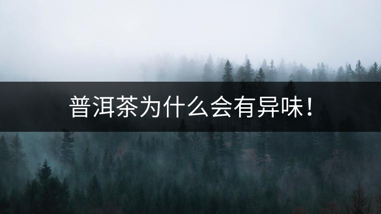 普洱茶為什么會(huì)有異味！