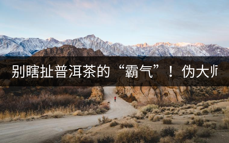 別瞎扯普洱茶的“霸氣”！偽大師！