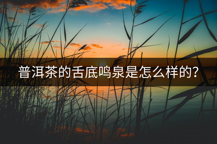 普洱茶的舌底鳴泉是怎么樣的？