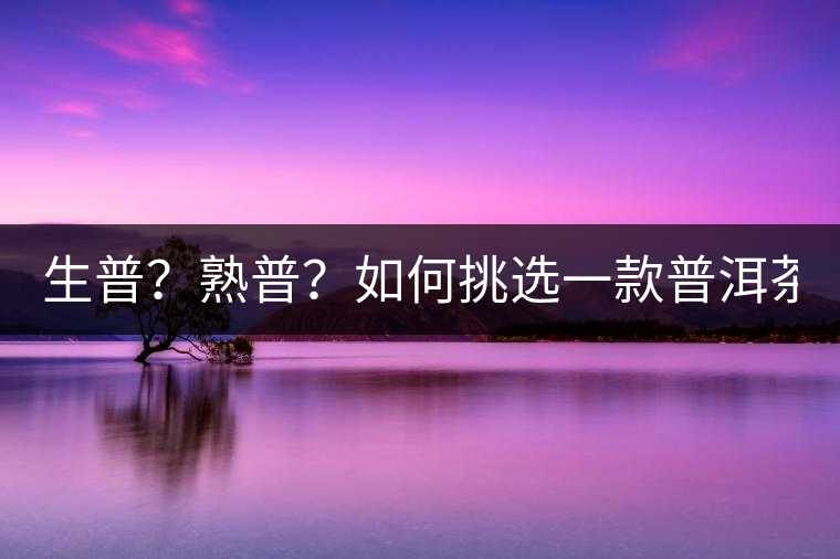 生普？熟普？如何挑選一款普洱茶？