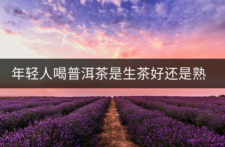 年輕人喝普洱茶是生茶好還是熟茶好？該怎么選擇？