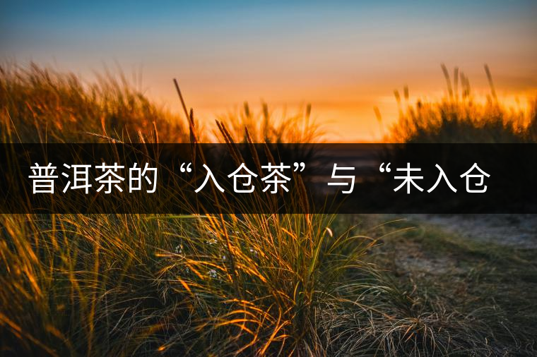 普洱茶的“入倉(cāng)茶”與“未入倉(cāng)茶”如何區(qū)分，你造嗎？