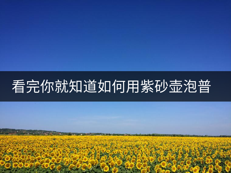 看完你就知道如何用紫砂壺泡普洱茶了 看完你就知道如何用紫砂壺泡普洱茶了