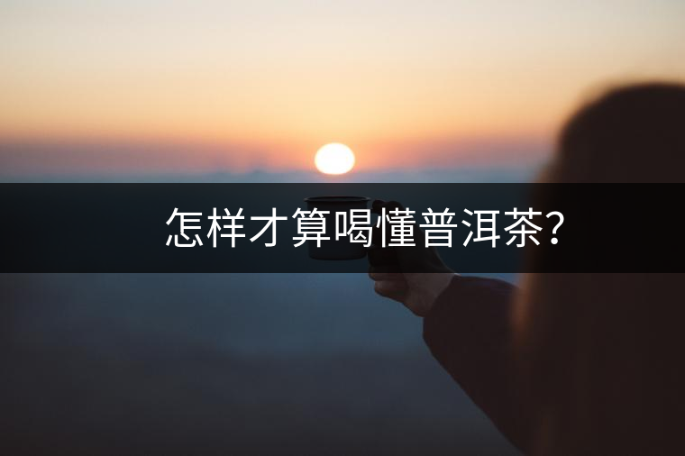 　怎樣才算喝懂普洱茶？