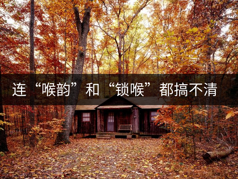 連“喉韻”和“鎖喉”都搞不清楚，就不要說懂普洱茶！