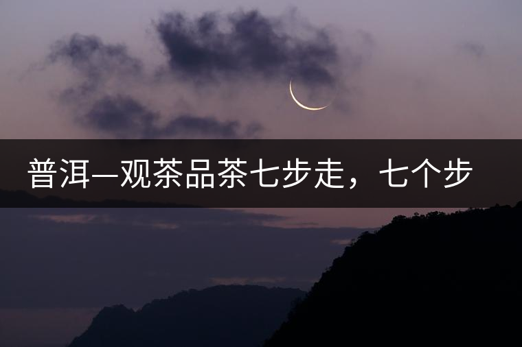 普洱—觀茶品茶七步走，七個步驟，喝懂普洱茶