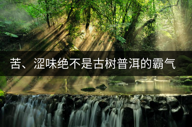 苦、澀味絕不是古樹普洱的霸氣，那也叫懂普洱茶，別逗了！