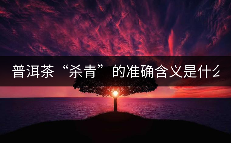 普洱茶“殺青”的準確含義是什么？