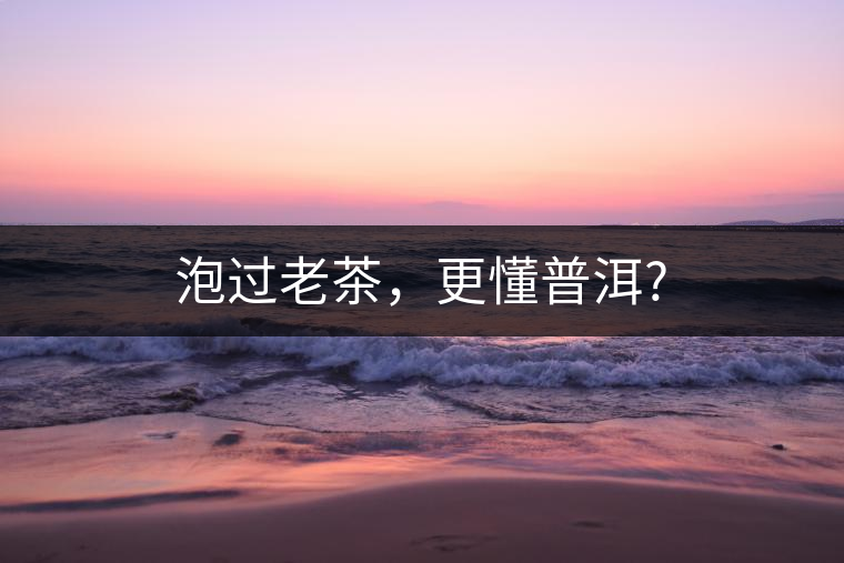 泡過老茶，更懂普洱?