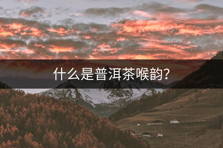 什么是普洱茶喉韻？