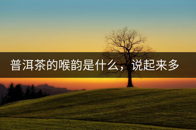普洱茶的喉韻是什么，說(shuō)起來(lái)多少有點(diǎn)玄乎