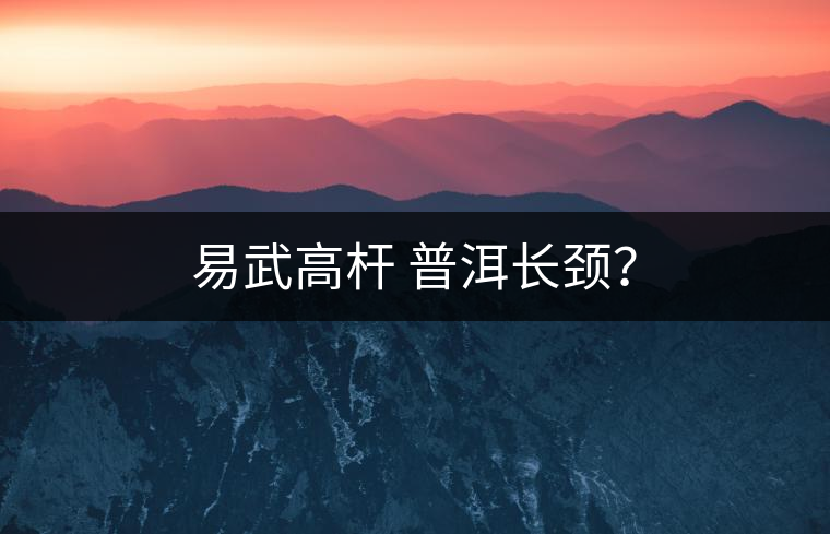 易武高桿 普洱長頸？