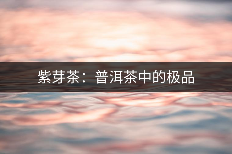 紫芽茶：普洱茶中的極品