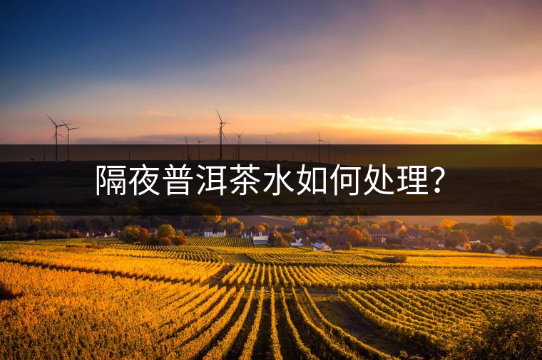 隔夜普洱茶水如何處理？
