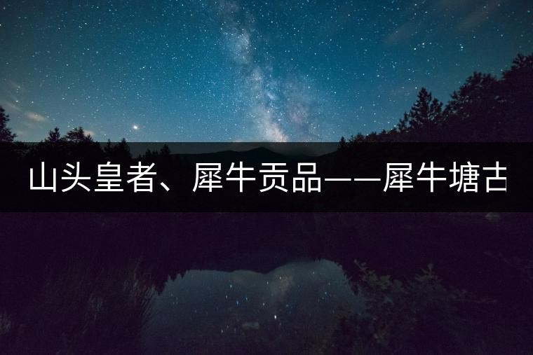 山頭皇者、犀牛貢品——犀牛塘古樹茶！