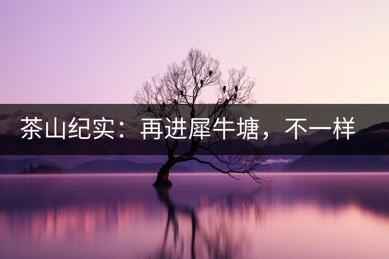 茶山紀(jì)實(shí)：再進(jìn)犀牛塘，不一樣的感覺；菁瑤可以預(yù)見的豐收年