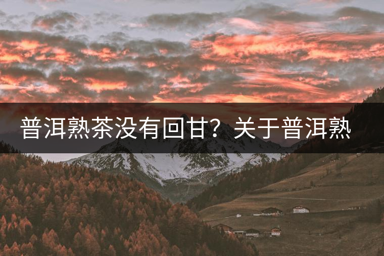 普洱熟茶沒有回甘？關(guān)于普洱熟茶的這些知識你必須知道！