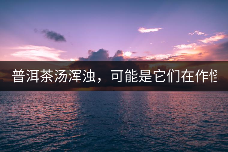 普洱茶湯渾濁，可能是它們在作怪？