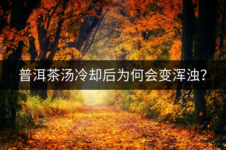 普洱茶湯冷卻后為何會變渾濁？