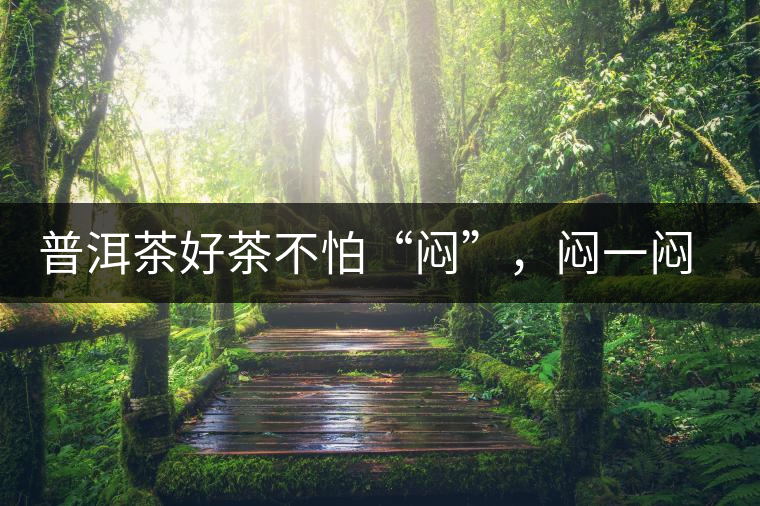 普洱茶好茶不怕“悶”，悶一悶看本味