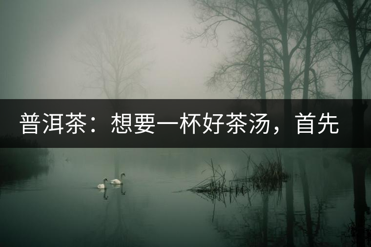 普洱茶：想要一杯好茶湯，首先要會(huì)醒茶