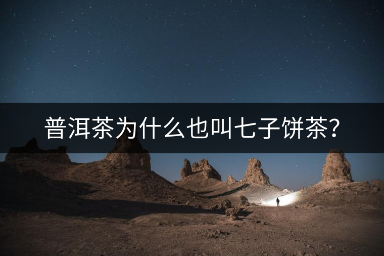 普洱茶為什么也叫七子餅茶？