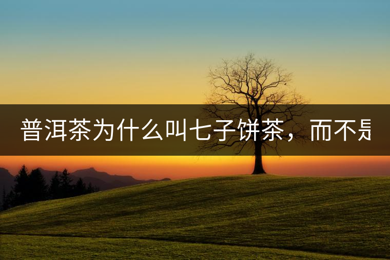 普洱茶為什么叫七子餅茶，而不是六子餅、八子餅......？