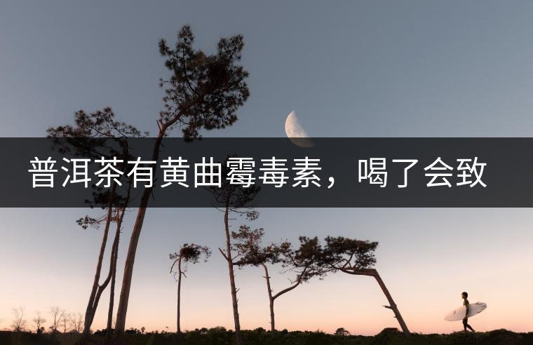 普洱茶有黃曲霉毒素，喝了會致癌？不黑不吹，咱用事實說話