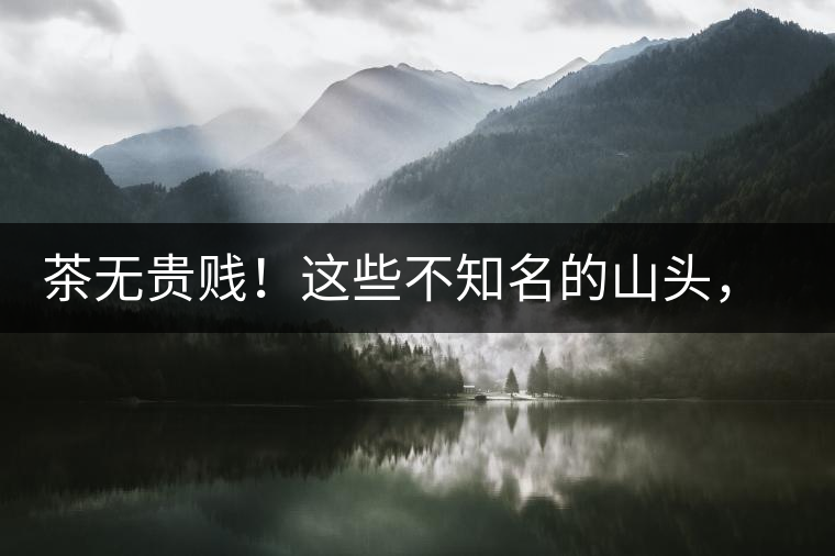 茶無貴賤！這些不知名的山頭，其實(shí)也產(chǎn)優(yōu)質(zhì)普洱茶！
