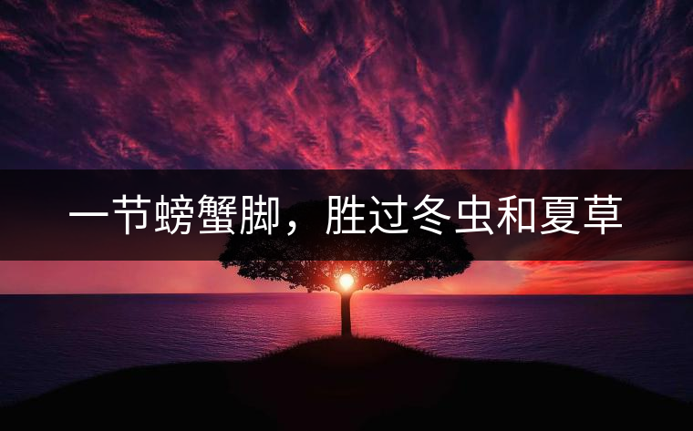 一節(jié)螃蟹腳，勝過冬蟲和夏草