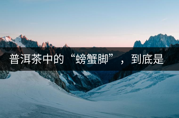 普洱茶中的“螃蟹腳”，到底是什么？如何辨別？