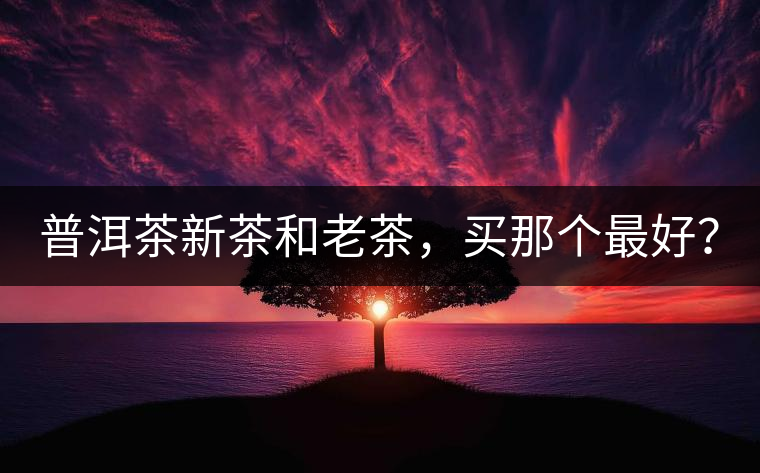 普洱茶新茶和老茶，買那個(gè)最好？