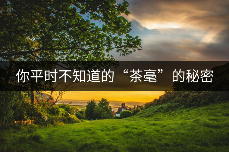 你平時(shí)不知道的“茶毫”的秘密