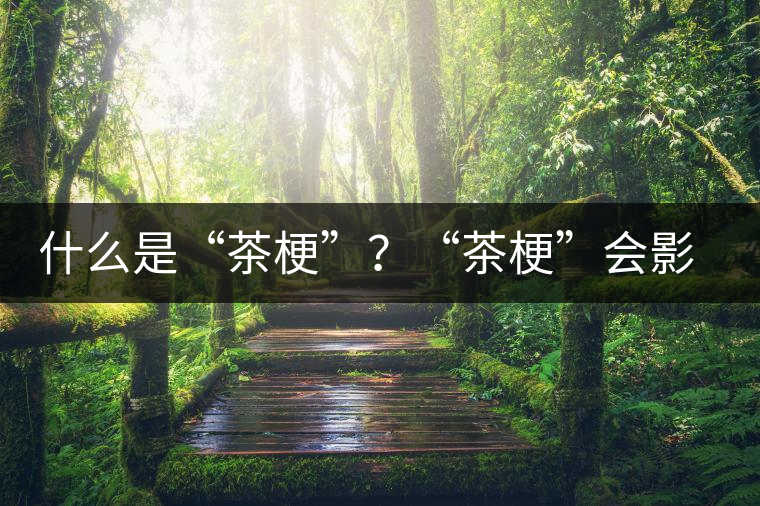 什么是“茶?！保俊安韫！睍?huì)影響普洱茶品質(zhì)？