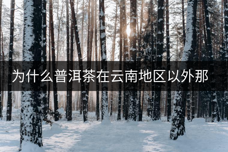 為什么普洱茶在云南地區(qū)以外那么受歡迎？