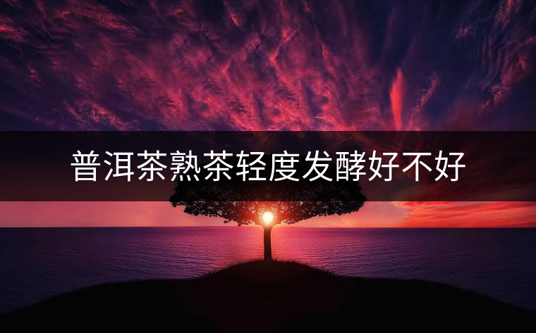 普洱茶熟茶輕度發(fā)酵好不好