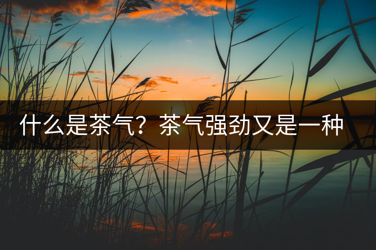 什么是茶氣？茶氣強勁又是一種怎樣的體驗？