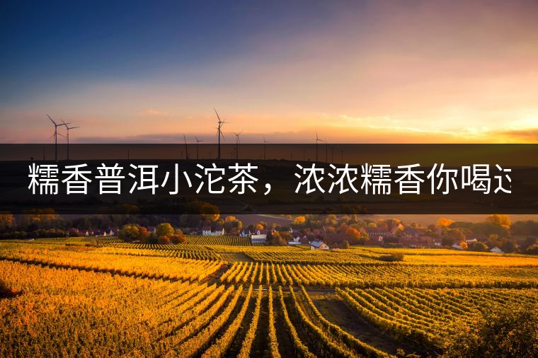 糯香普洱小沱茶，濃濃糯香你喝過嗎？