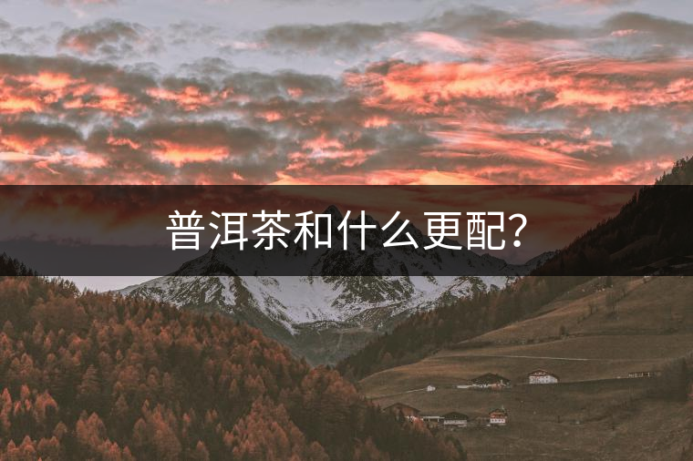 普洱茶和什么更配？