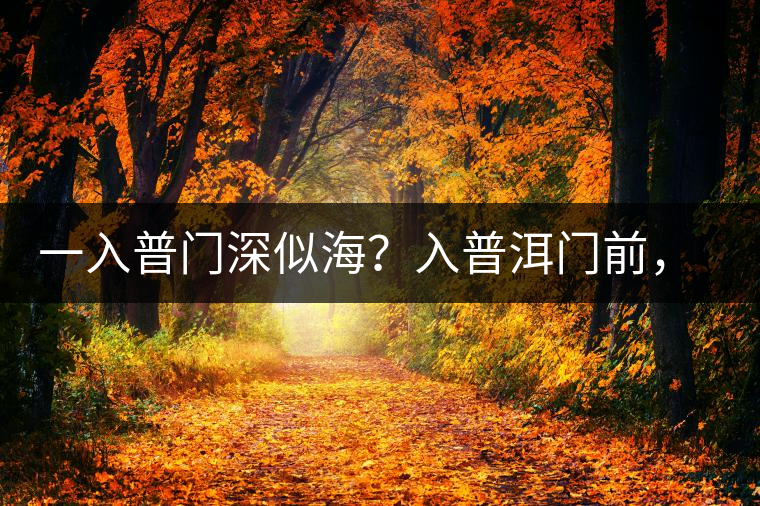 一入普門深似海？入普洱門前，你需要了解這些
