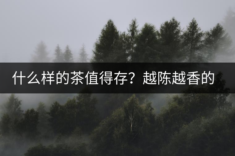 什么樣的茶值得存？越陳越香的本質(zhì)是什么？