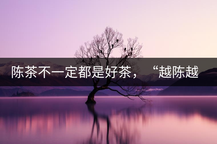 陳茶不一定都是好茶，“越陳越香”也要看茶種類！