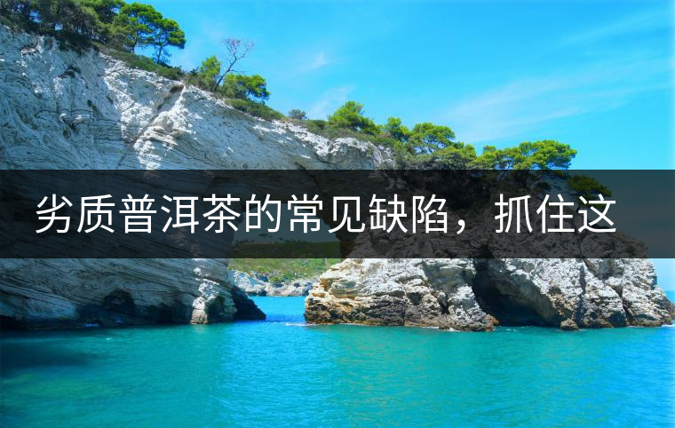 劣質(zhì)普洱茶的常見缺陷，抓住這三個特征，拒絕劣質(zhì)茶！