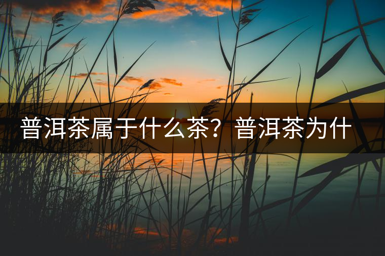 普洱茶屬于什么茶？普洱茶為什么會(huì)越陳越香？