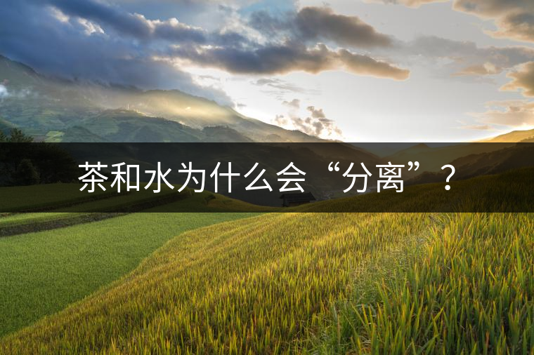 茶和水為什么會“分離”？