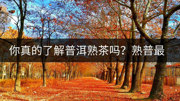 你真的了解普洱熟茶嗎？熟普最詳細(xì)的揭秘都在這里了。