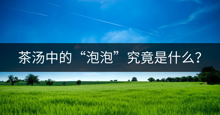 茶湯中的“泡泡”究竟是什么？