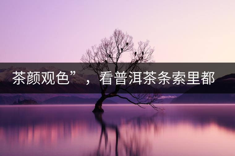 茶顏觀色”，看普洱茶條索里都蘊含著怎樣的“密碼”？