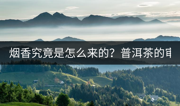 煙香究竟是怎么來(lái)的？普洱茶的審美困局。